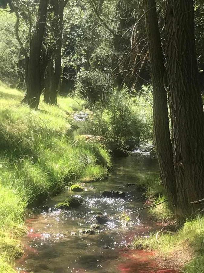 Apartamentos El Mirador Villarroya de los Pinares Εξωτερικό φωτογραφία
